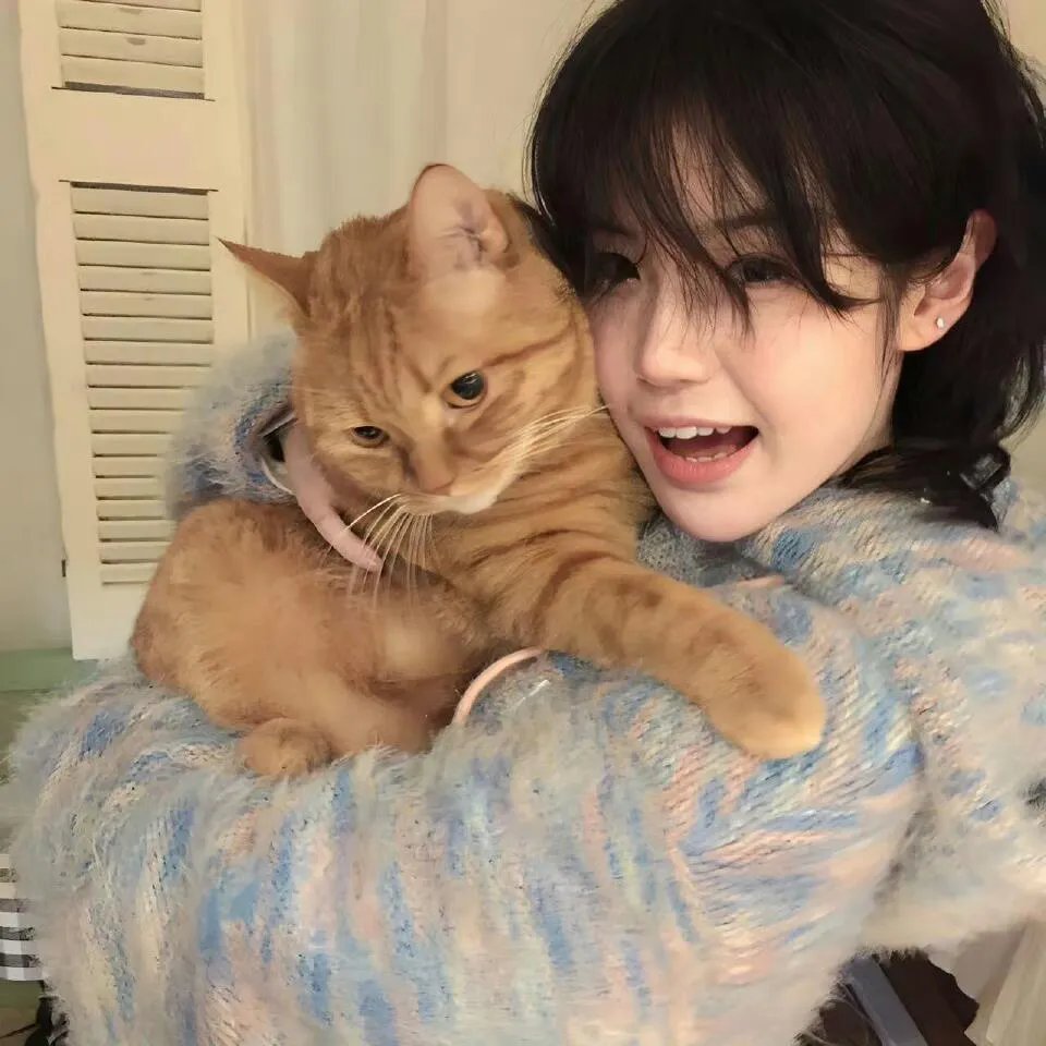 猫物件 电影版